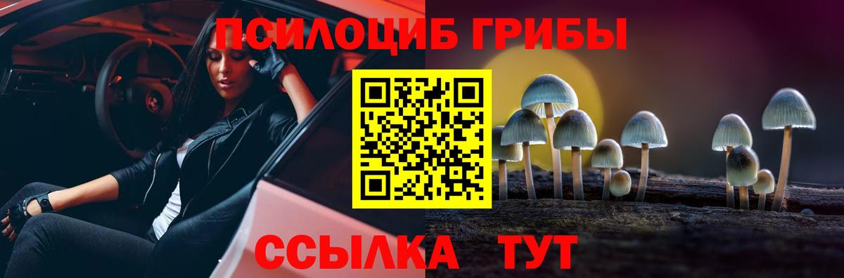 Псилоцибиновые грибы мухоморы  Вход с VPN  Егорьевск 